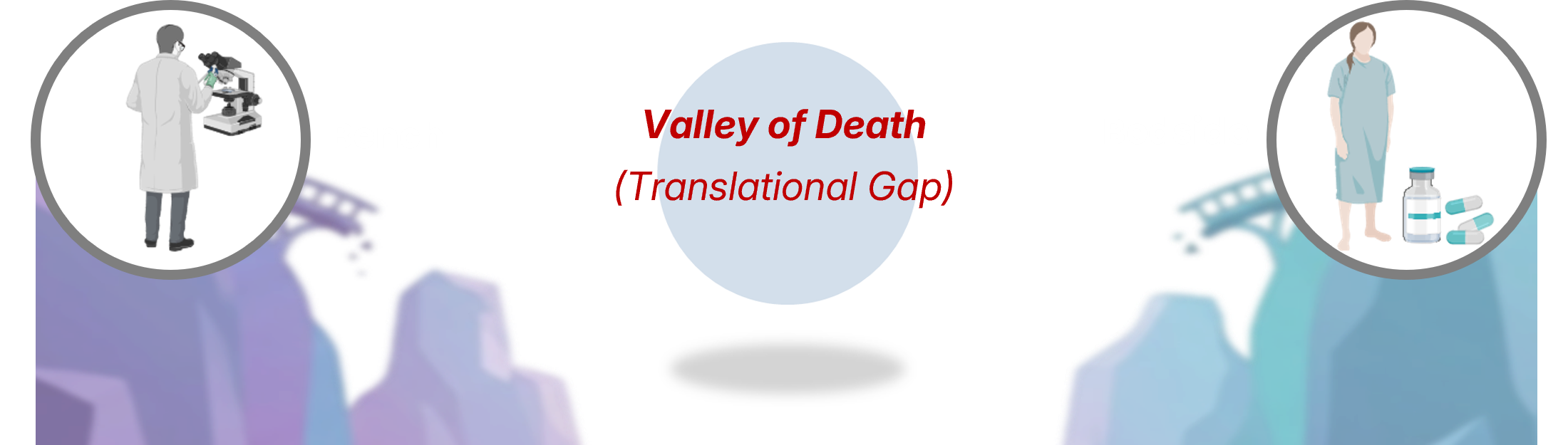 Valley of Death — Translational Gap